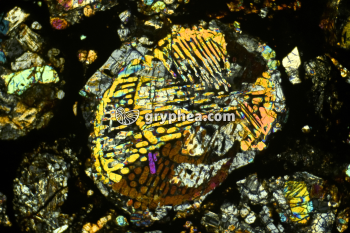 Météorite (Chondrite de type LL) LPA x5,2 - gryphea.com